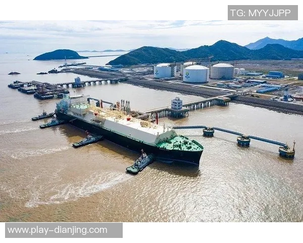 LNG战队运营策略分析与成败经验总结探讨实时数据 LNG战队运营策略分析与成败经验总结探讨实时数据